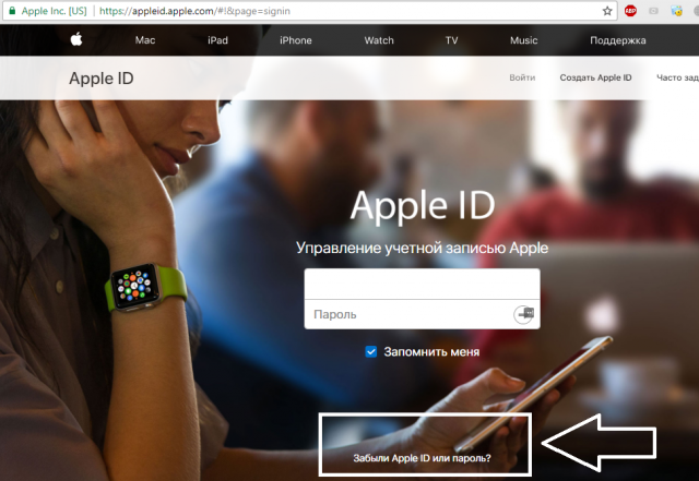 Рис.18 – страница входа на страницу пользователя Apple ID