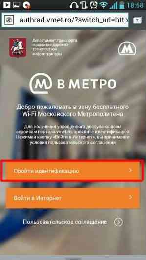 Рис. 3. Кнопка «Пройти идентификацию» на сайте Vmet.Ro
